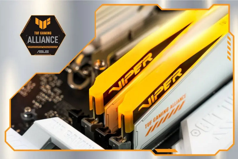 Viper Elite 5 TUF Gaming