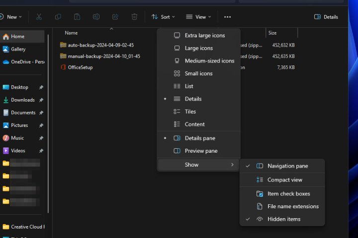 Afficher les fichiers cachés sous Windows 11.