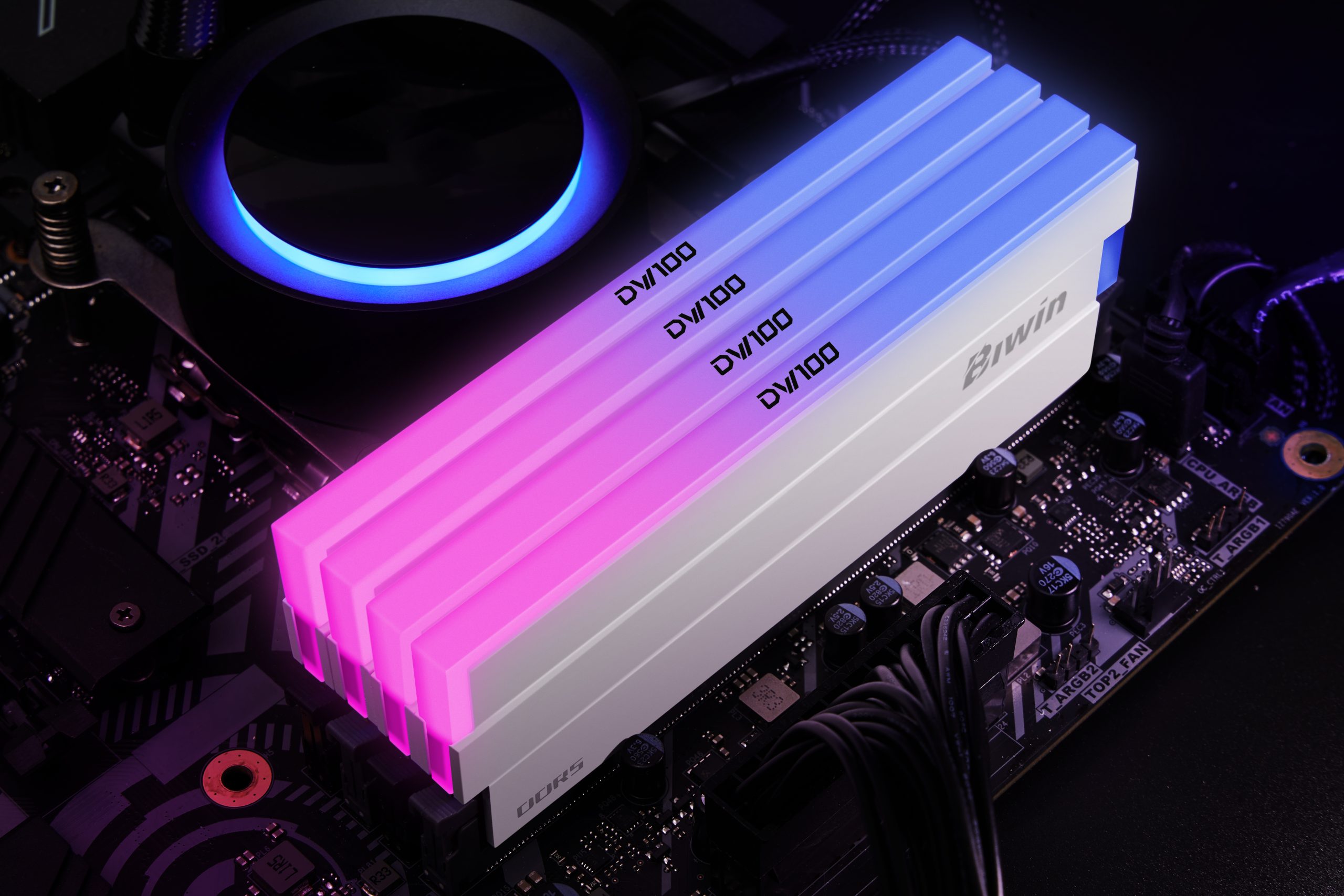 Biwin Opal DW100 UDIMM DDR5