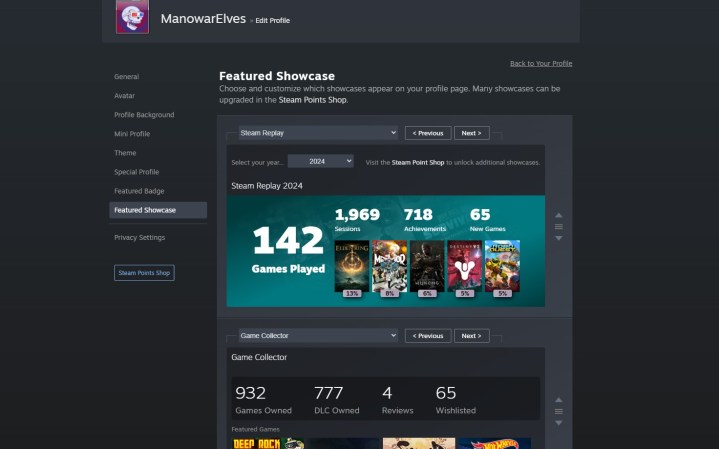 Paramètres de vitrine pour Steam Replay 2024.
