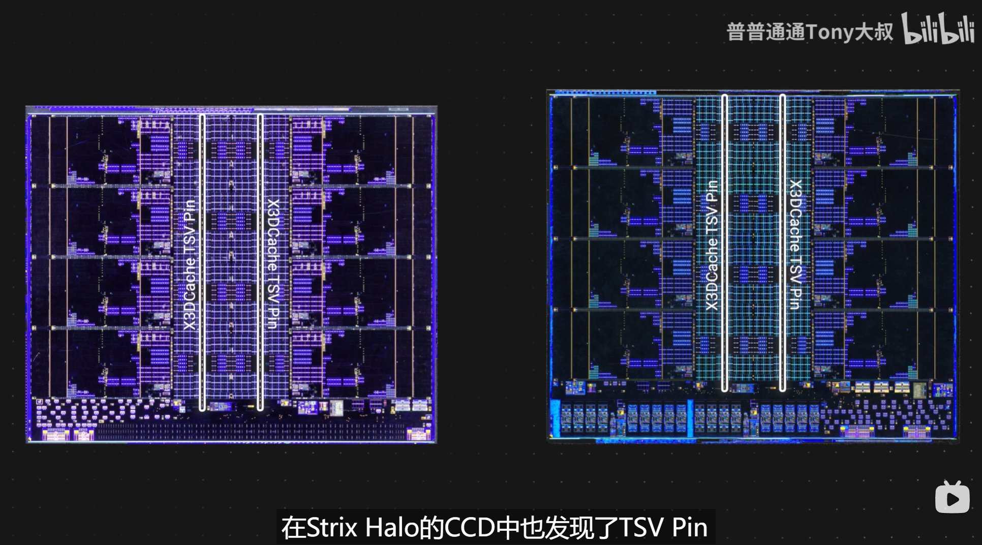 Ryzen AI Max+ 395 vs Ryzen 9950X TSVs