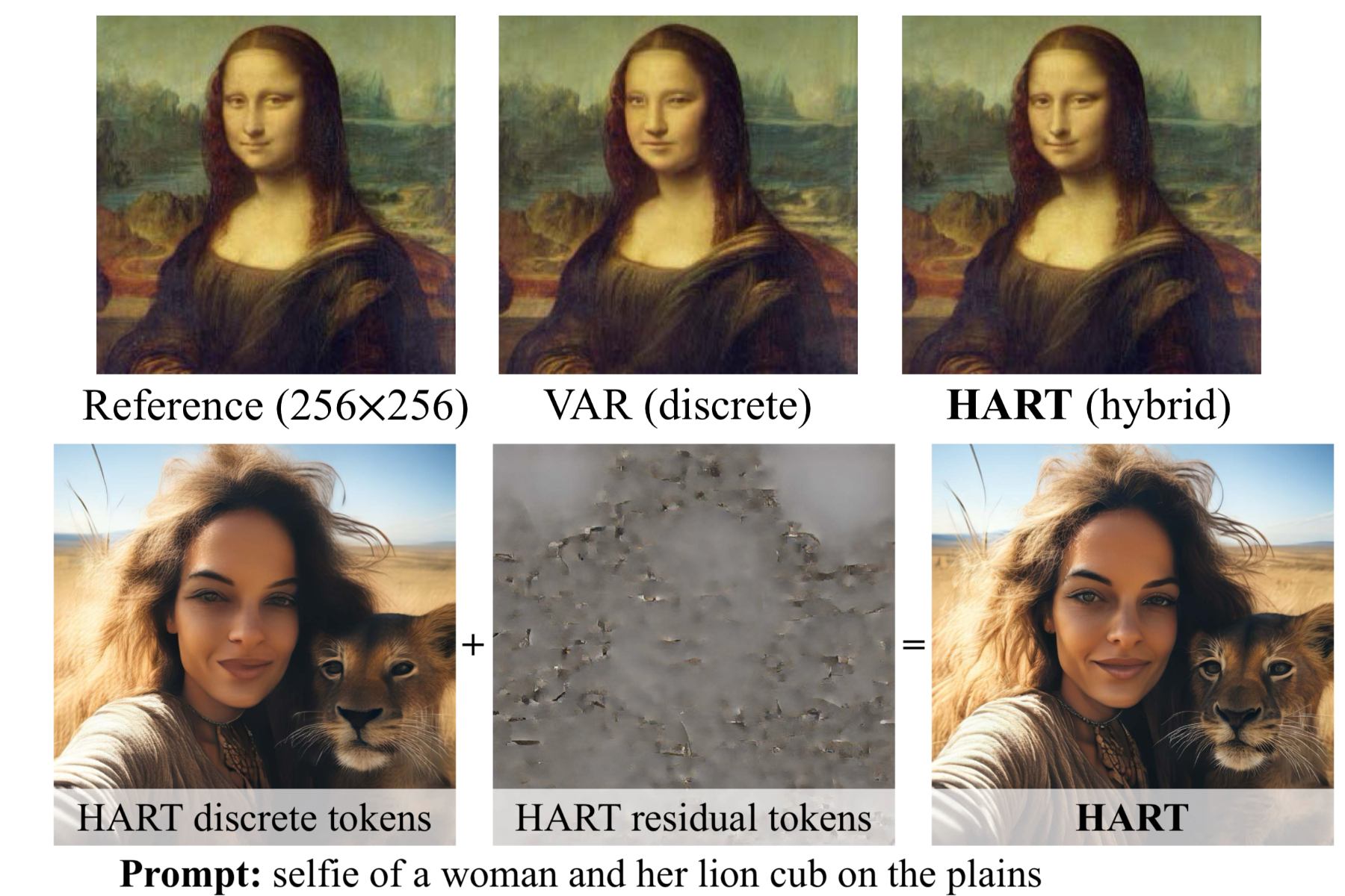 Évolution de l'entraînement des images pour HART.