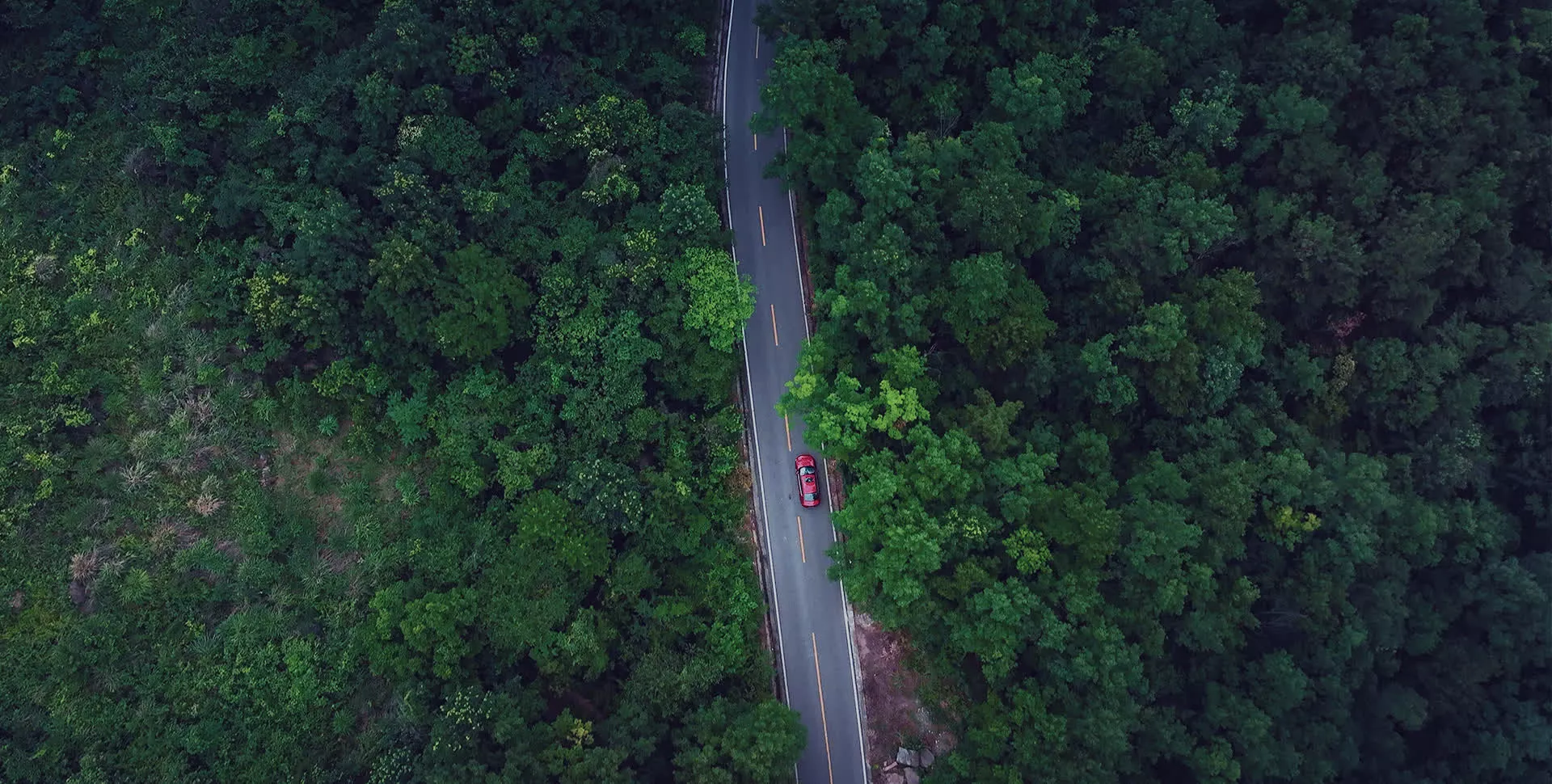 BYD dévoile un chargeur ultra-rapide pour EV