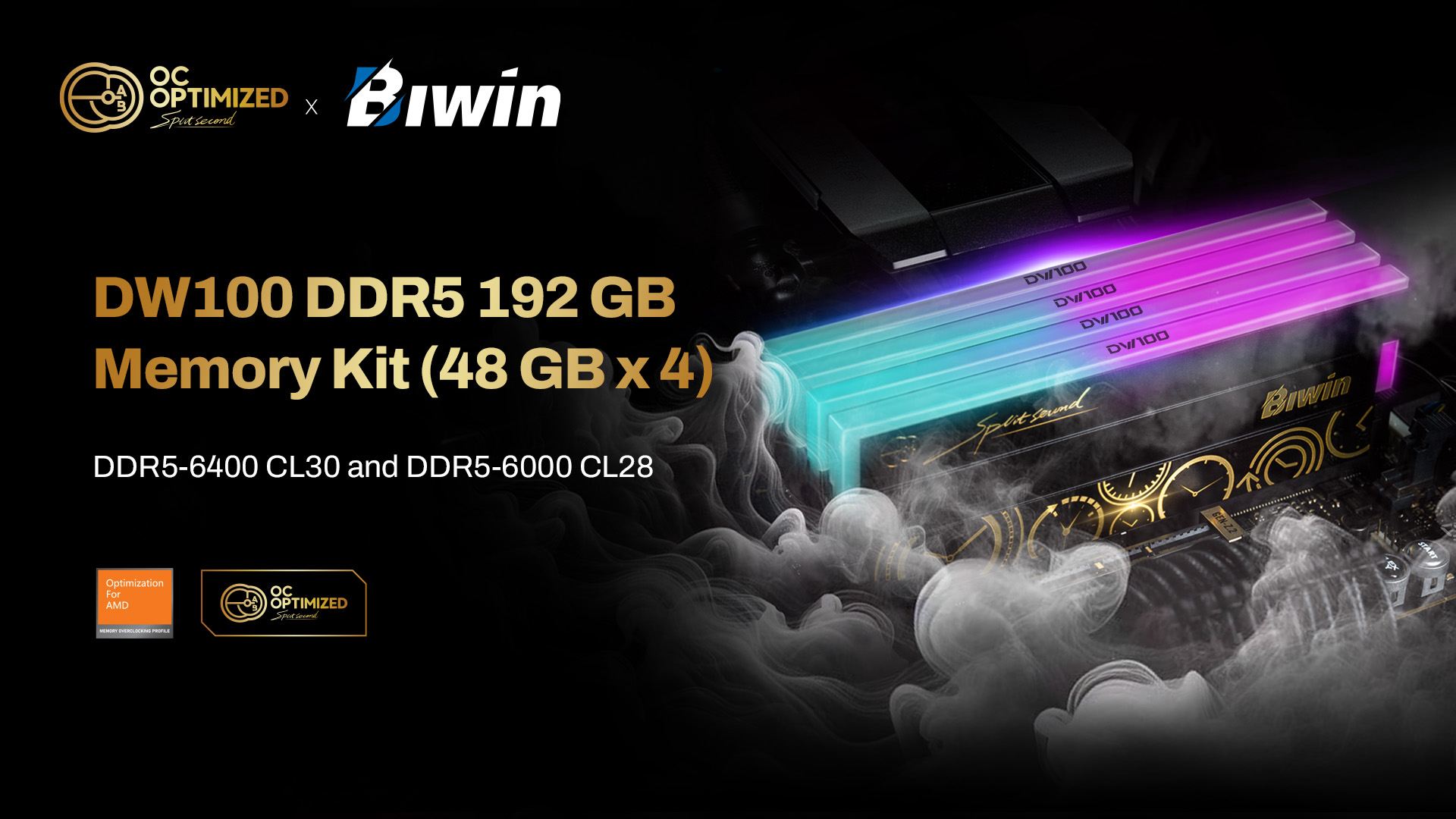 Kit de mémoire DDR5 Biwin DW100 192 Go