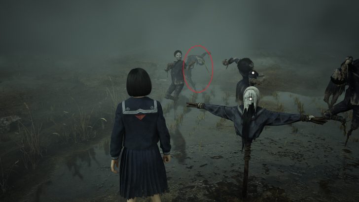 Emplacement du troisième épouvantail.