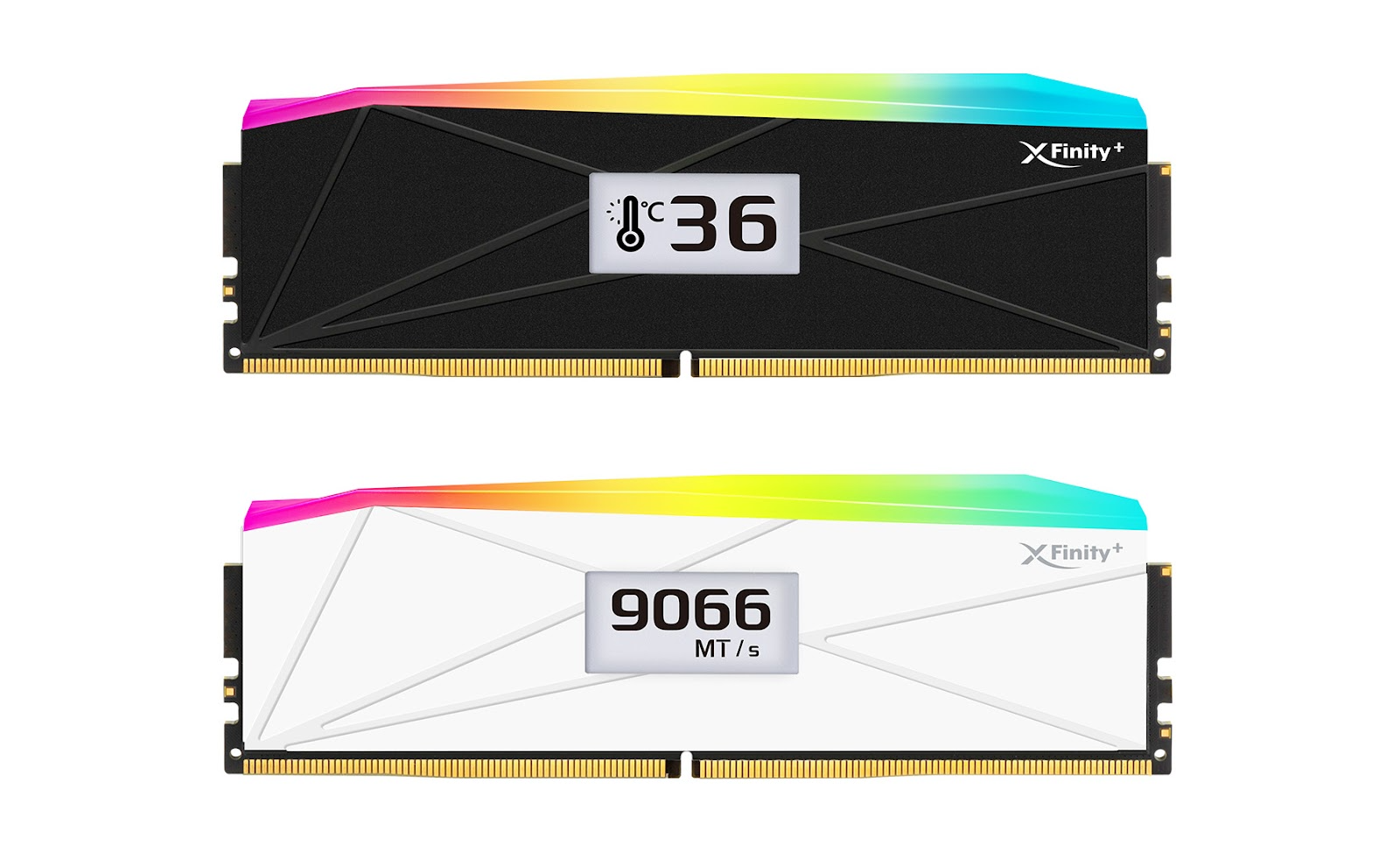 Modules RAM XFinity+ affichant une température de 36°C et une vitesse de 9066 MT/s.