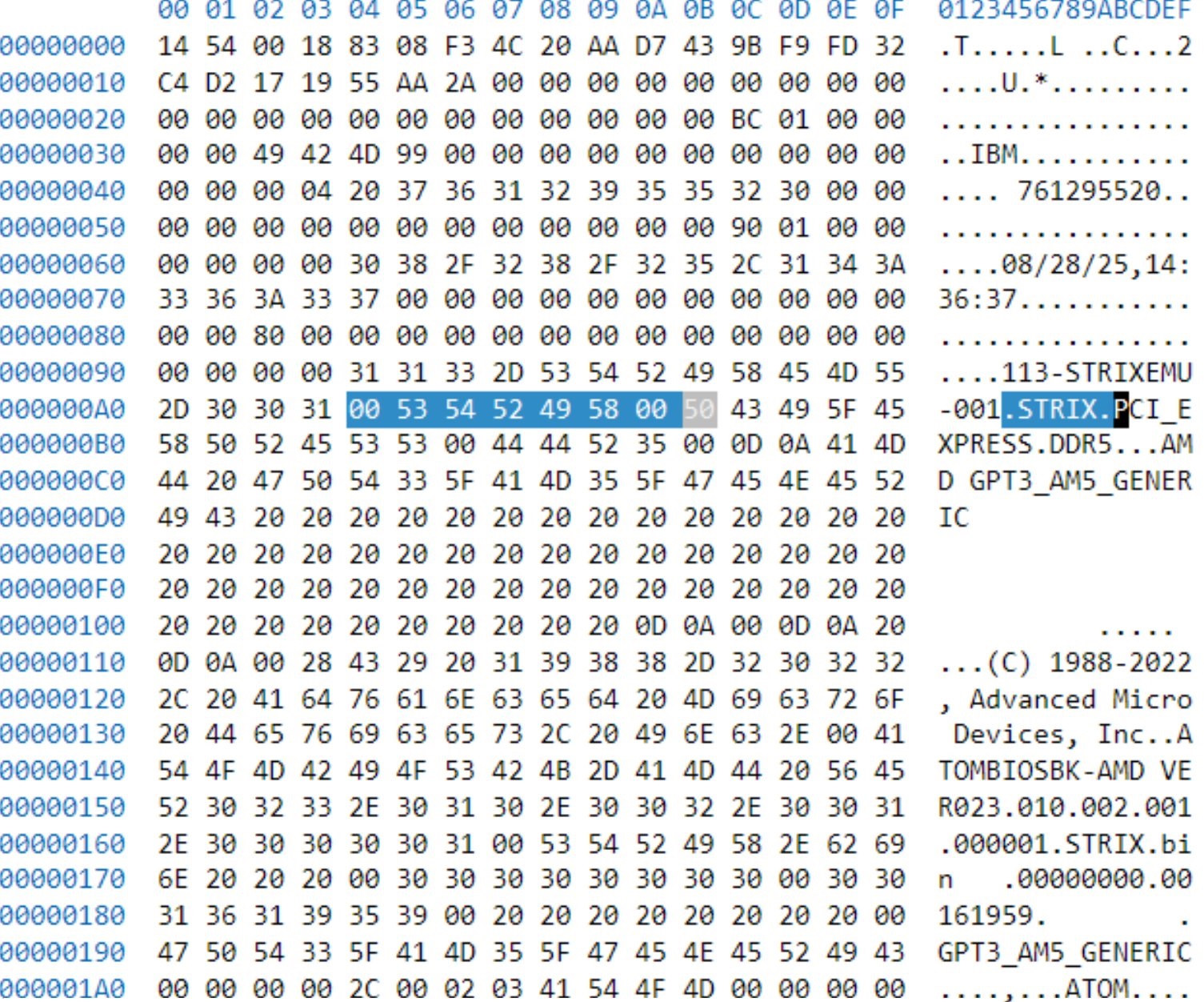 Écran d'éditeur hexadécimal affichant le texte STRIX et AMD.