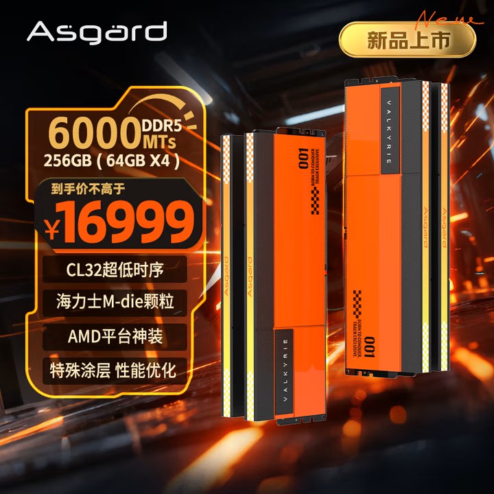 Modules de RAM Asgard Valkyrie DDR5 affichant '256GB (64GB X4)' avec un prix de '¥16999'.