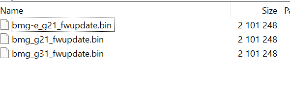 Liste des fichiers de mise à jour du firmware nommés 'bmg-e_g21_fwupdate.bin', 'bmg_g21_fwupdate.bin', et 'bmg_g31_fwupdate.bin'