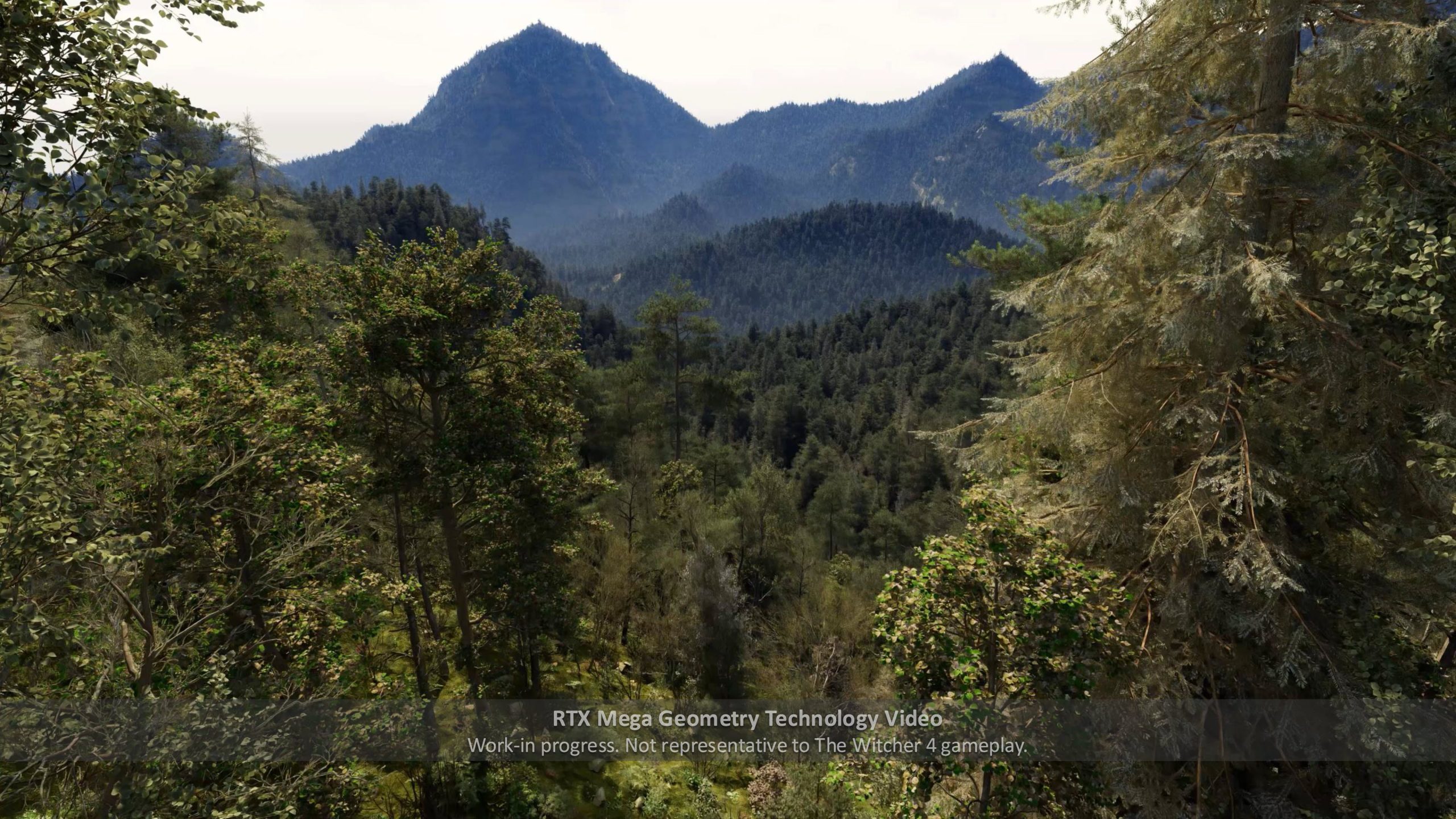 A lush, detailed forest scene labeled 'RTX Mega Geometry Technology Video'