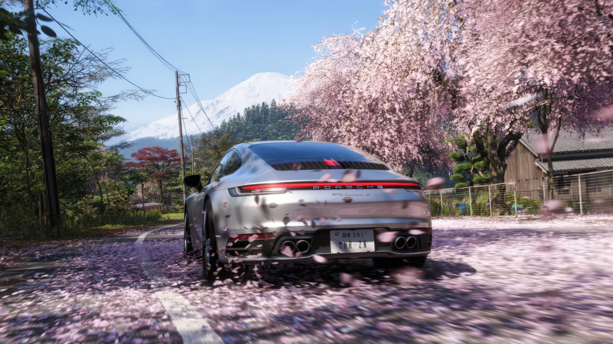 A Porsche 911 Carrera driving through a scenic road lined with cherry blossom trees in a video game setting.