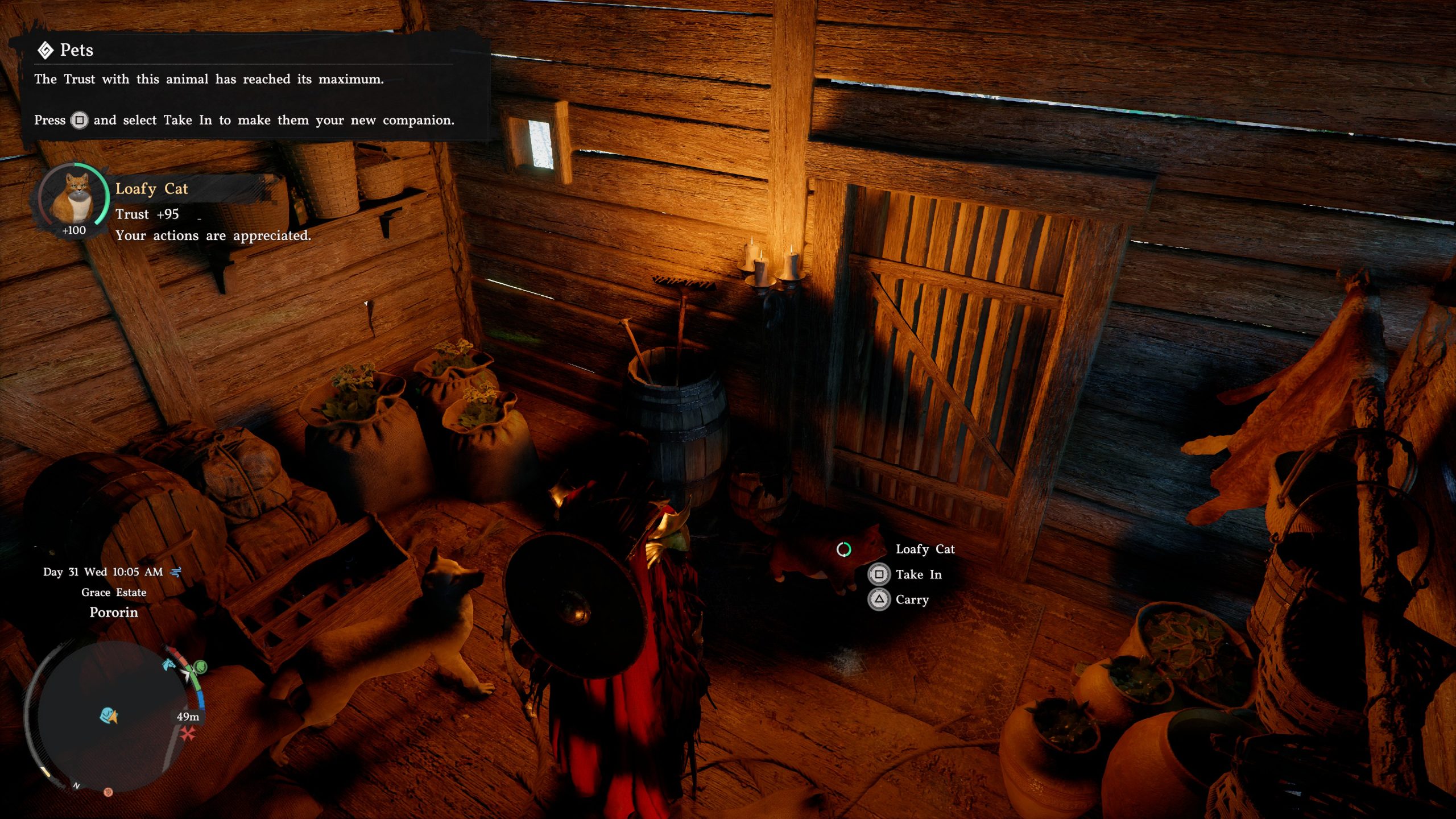 In Crimson Desert, the player interacts with a 'Loafy Cat' that has reached maximum trust, with options to 'Take In' or 'Carry,' inside a wooden cabin with sacks and barrels in the corner.