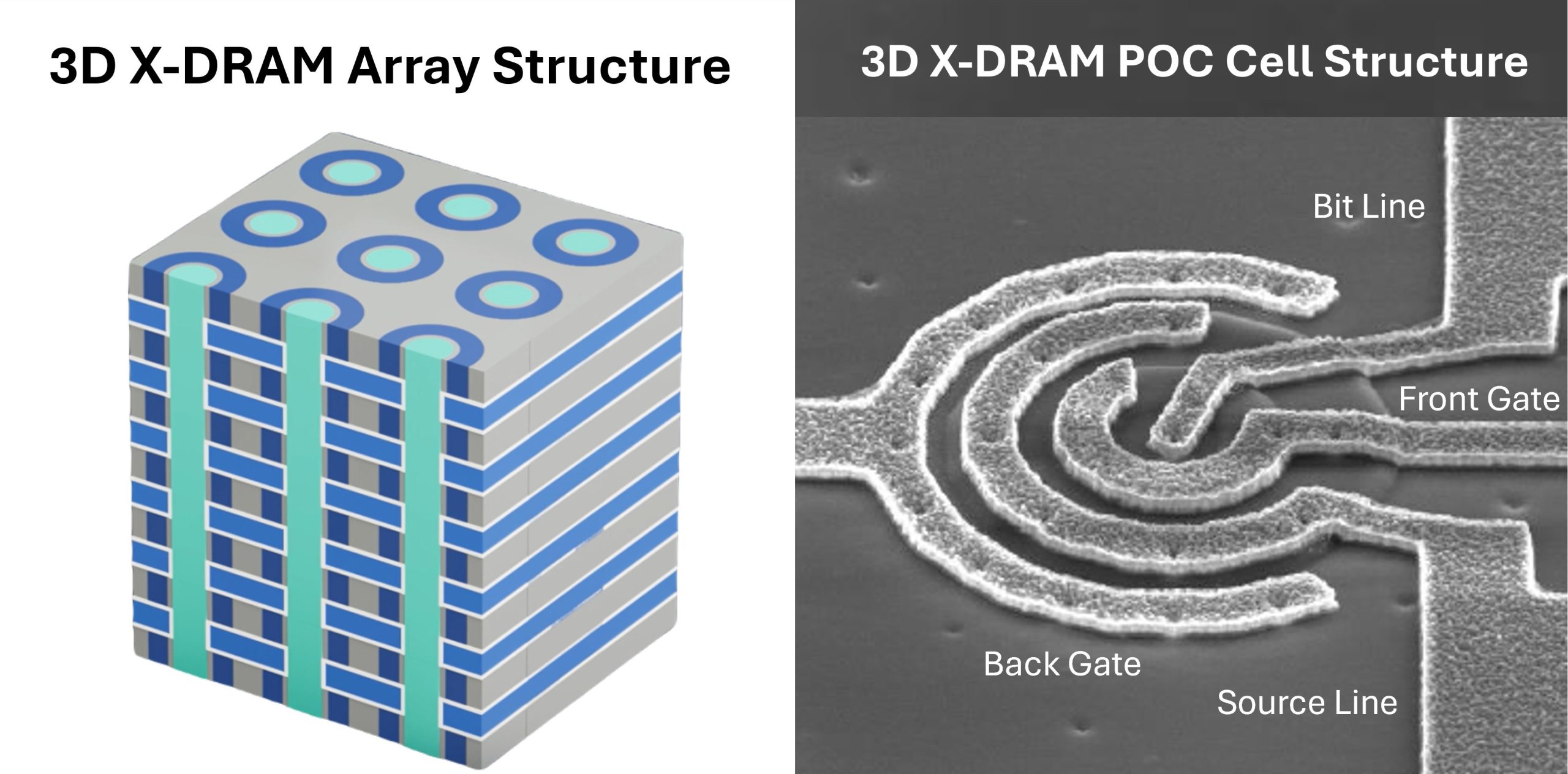 A split image shows a 3D X-DRAM array structure diagram on the left and a microscopic image of a 3D X-DRAM POC cell structure on the right, labeled with 'Bit Line,' 'Front Gate,' 'Back Gate,' and 'Source Line.'