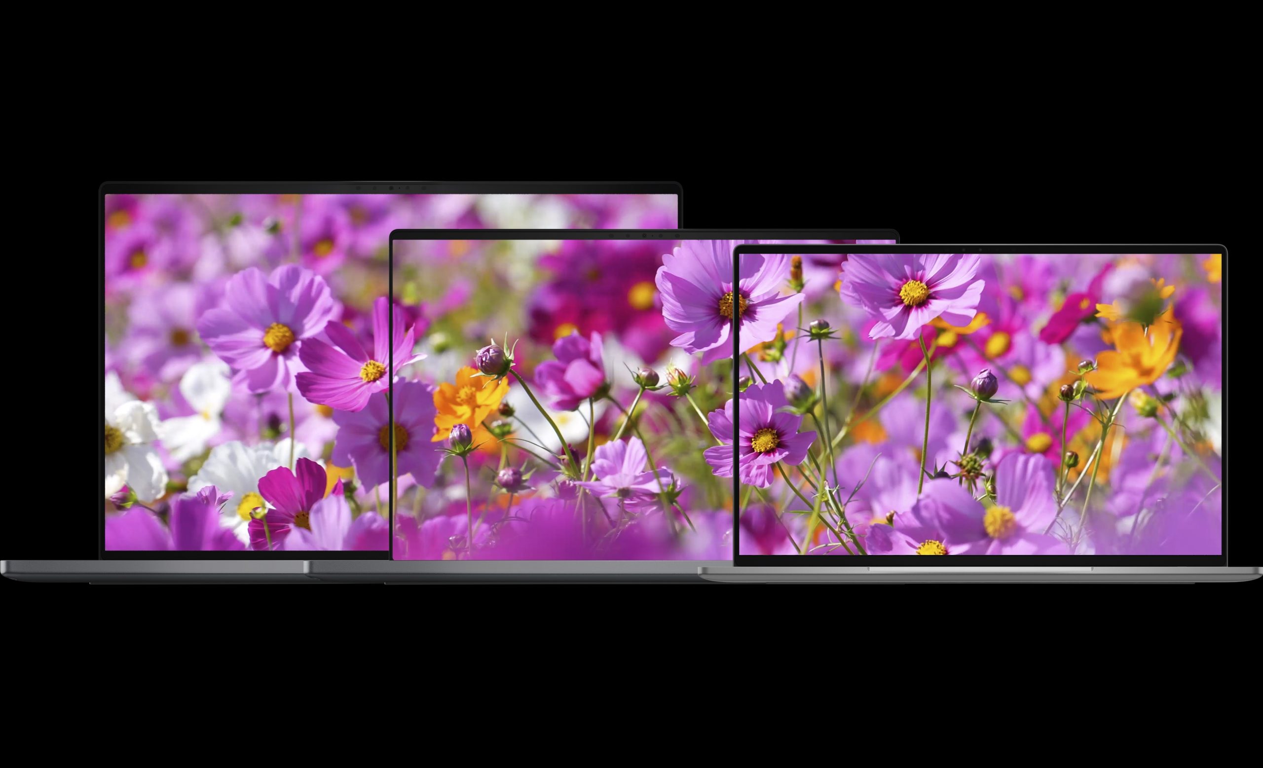 Trois ordinateurs portables Apple MacBook Pro de différentes tailles affichant des fleurs roses et jaunes vives sur leurs écrans.