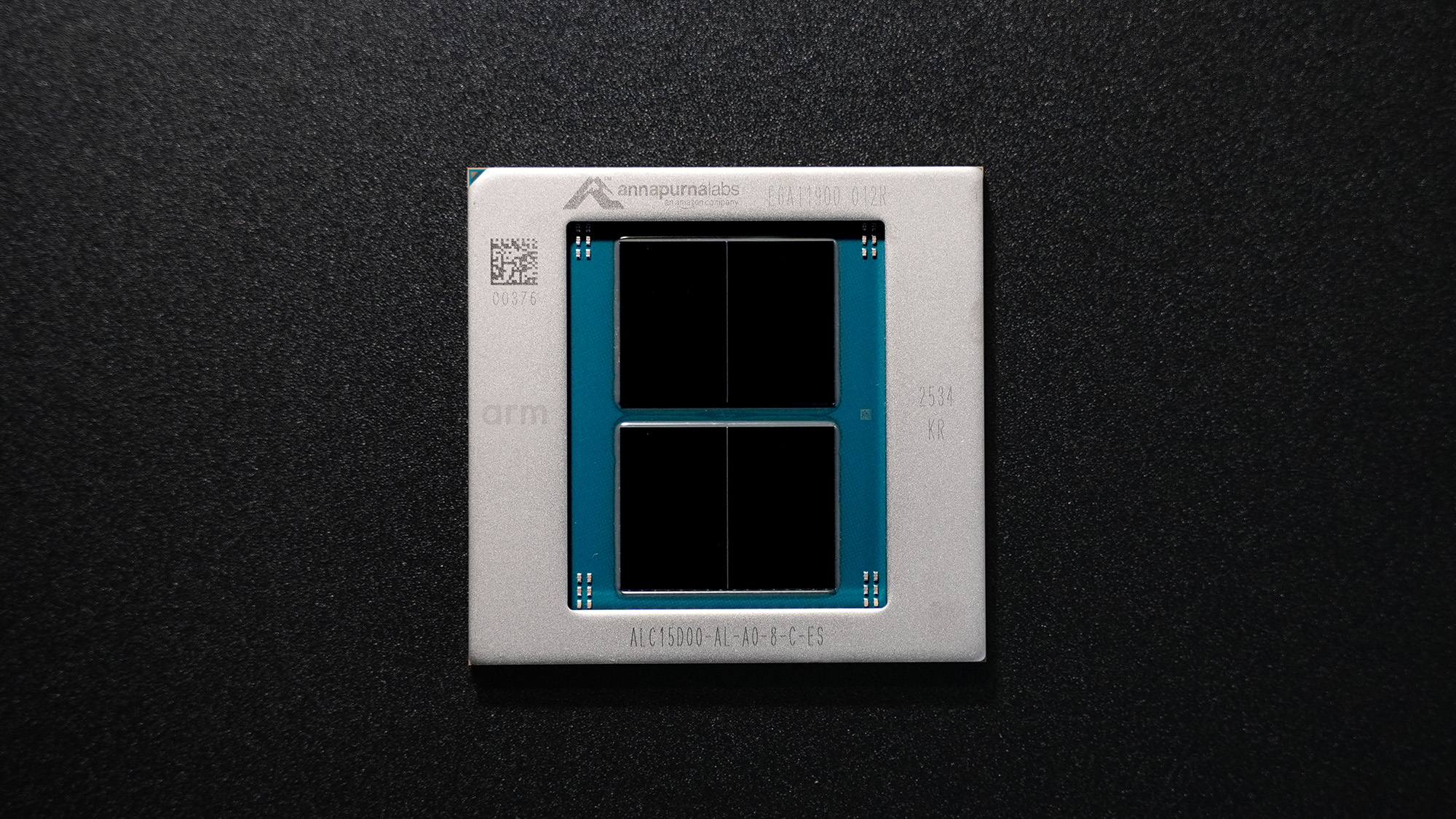 Un gros plan sur une puce Annapurna Labs avec la mention ALC15D00 AL-A0-8-C-ES et le logo Arm sur fond noir texturé.